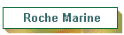 Roche Marine