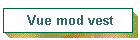 Vue mod vest
