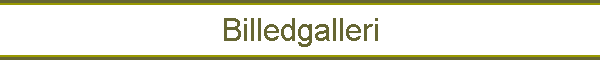 Billedgalleri