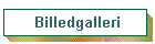 Billedgalleri