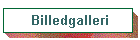 Billedgalleri