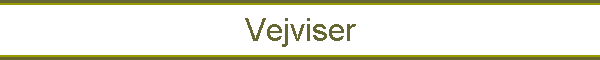 Vejviser