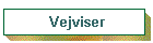 Vejviser